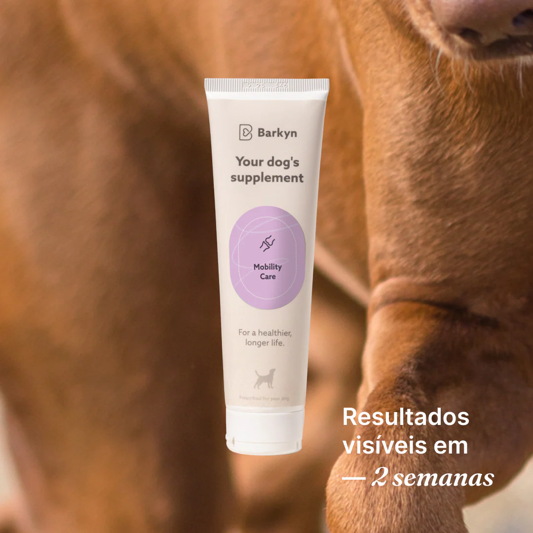 Imagem do produto 4